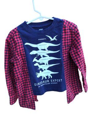 Upcycled Kid’s Flannel Tee, Dinosaur Graphic T-Shirt w/Flannel Sleeves, Size 2-4